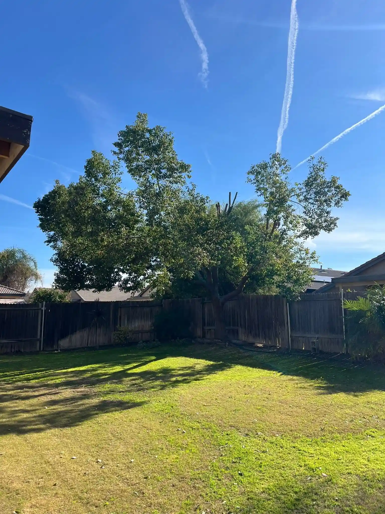 Commercial construction debris removal and jobsite cleanup in Bakersfield, CA
